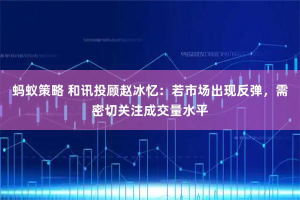 蚂蚁策略 和讯投顾赵冰忆：若市场出现反弹，需密切关注成交量水平