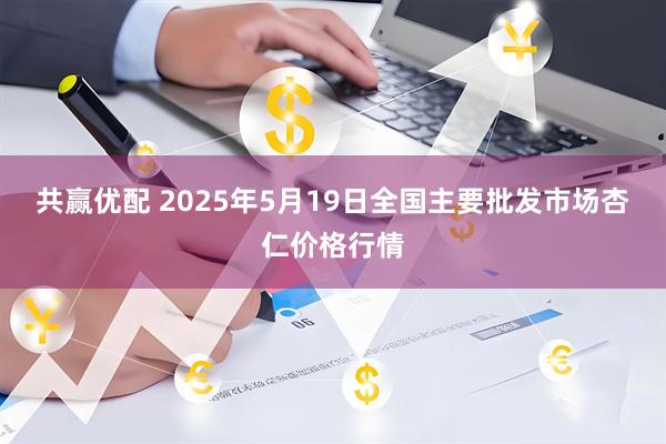 共赢优配 2025年5月19日全国主要批发市场杏仁价格行情