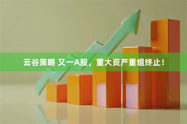 云谷策略 又一A股，重大资产重组终止！