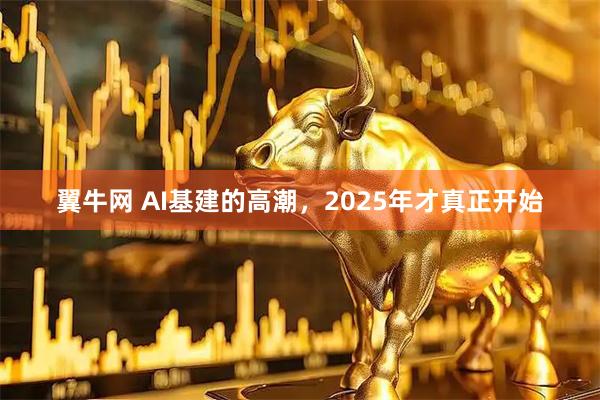 翼牛网 AI基建的高潮，2025年才真正开始