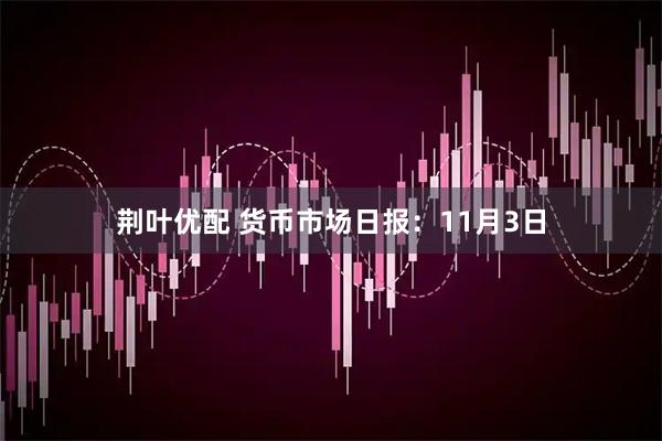 荆叶优配 货币市场日报：11月3日