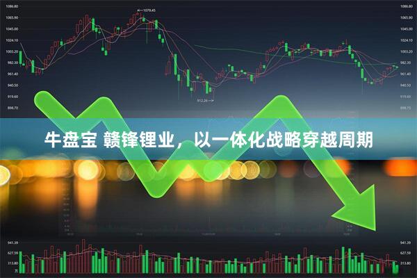牛盘宝 赣锋锂业,以一体化战略穿越周期